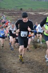 Click on thumbnail for larger photo